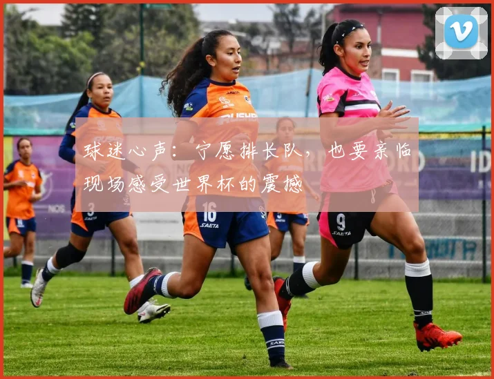 球迷心声：宁愿排长队，也要亲临现场感受世界杯的震撼