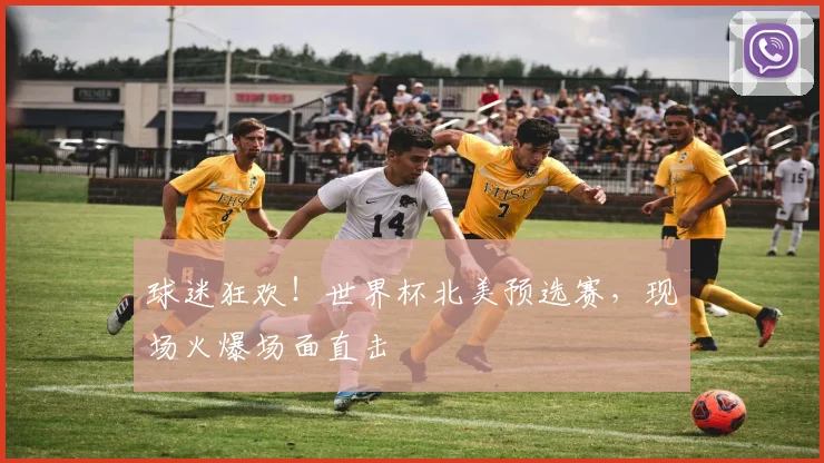 球迷狂欢！世界杯北美预选赛，现场火爆场面直击